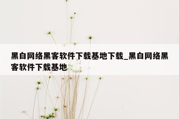 黑白网络黑客软件下载基地下载_黑白网络黑客软件下载基地