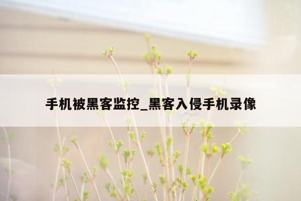 手机被黑客监控_黑客入侵手机录像