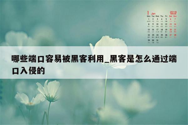 哪些端口容易被黑客利用_黑客是怎么通过端口入侵的