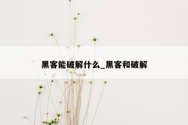 黑客能破解什么_黑客和破解