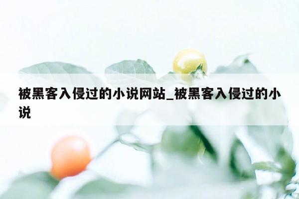 被黑客入侵过的小说网站_被黑客入侵过的小说