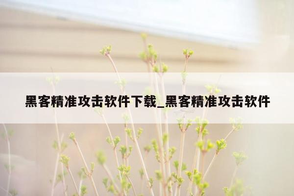 黑客精准攻击软件下载_黑客精准攻击软件