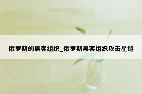 俄罗斯的黑客组织_俄罗斯黑客组织攻击星链