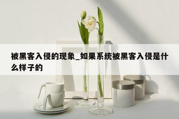 被黑客入侵的现象_如果系统被黑客入侵是什么样子的