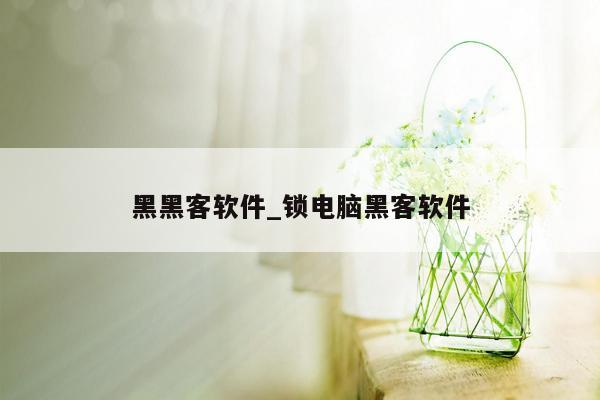 黑黑客软件_锁电脑黑客软件