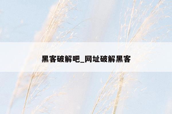 黑客破解吧_网址破解黑客