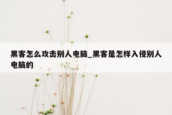 黑客怎么攻击别人电脑_黑客是怎样入侵别人电脑的