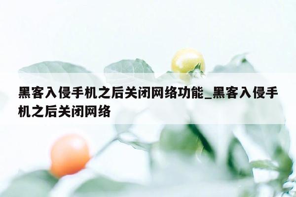 黑客入侵手机之后关闭网络功能_黑客入侵手机之后关闭网络