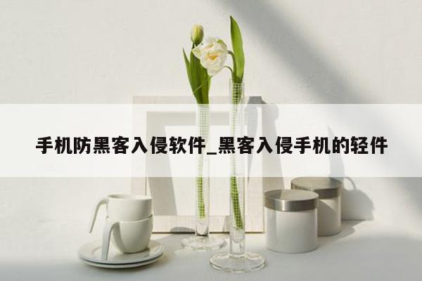 手机防黑客入侵软件_黑客入侵手机的轻件