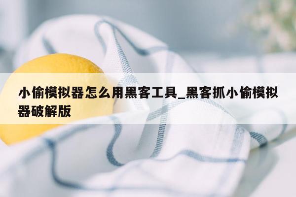 小偷模拟器怎么用黑客工具_黑客抓小偷模拟器破解版