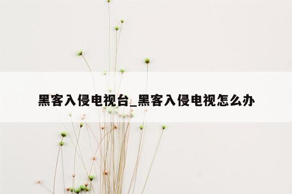 黑客入侵电视台_黑客入侵电视怎么办