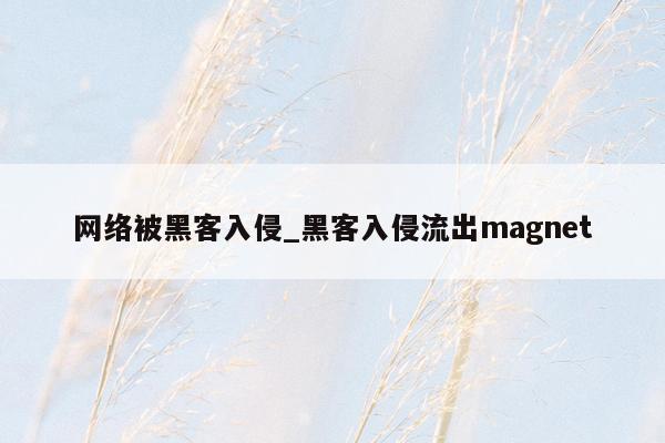 网络被黑客入侵_黑客入侵流出magnet