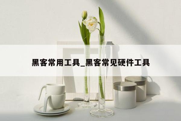 黑客常用工具_黑客常见硬件工具