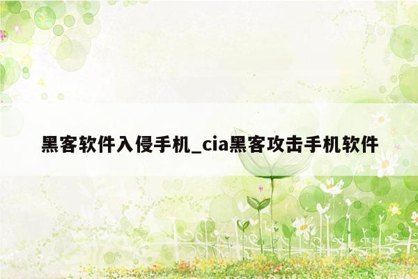 黑客软件入侵手机_cia黑客攻击手机软件