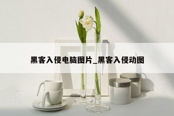 黑客入侵电脑图片_黑客入侵动图