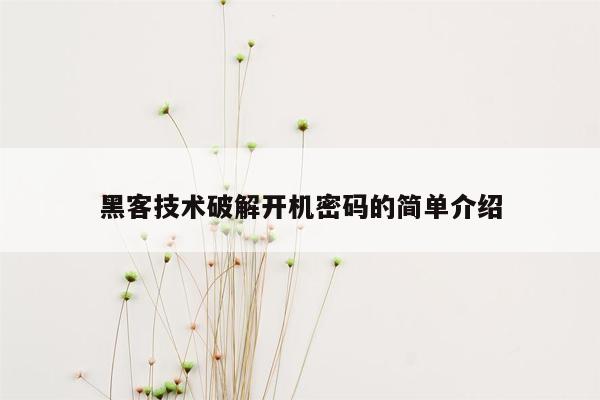 黑客技术破解开机密码的简单介绍