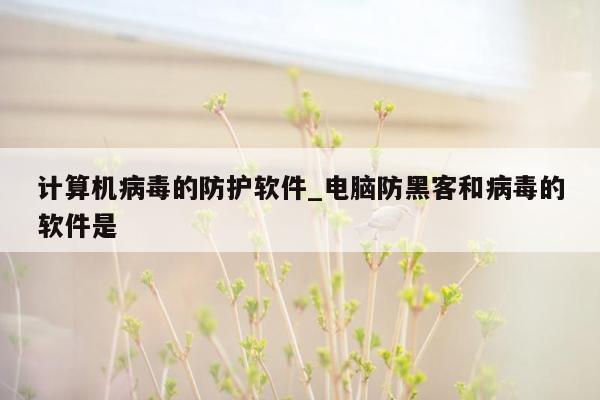 计算机病毒的防护软件_电脑防黑客和病毒的软件是