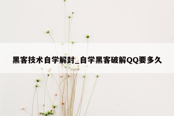 黑客技术自学解封_自学黑客破解QQ要多久