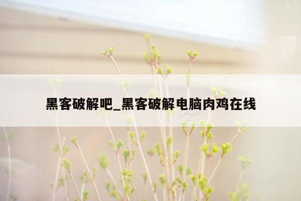 黑客破解吧_黑客破解电脑肉鸡在线