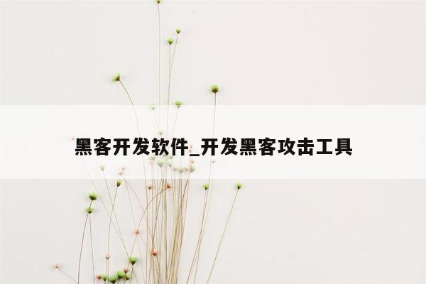 黑客开发软件_开发黑客攻击工具