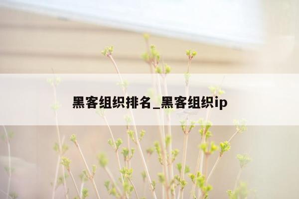 黑客组织排名_黑客组织ip