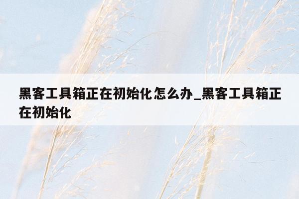 黑客工具箱正在初始化怎么办_黑客工具箱正在初始化