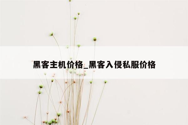 黑客主机价格_黑客入侵私服价格