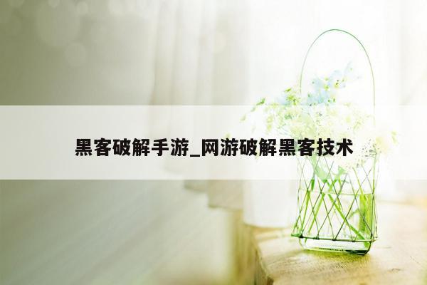 黑客破解手游_网游破解黑客技术