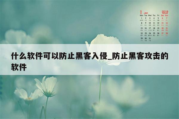 什么软件可以防止黑客入侵_防止黑客攻击的软件