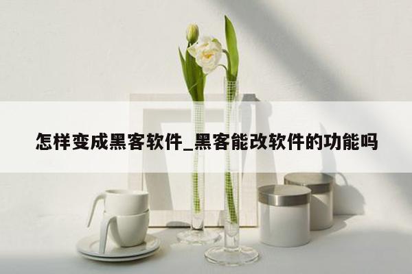 怎样变成黑客软件_黑客能改软件的功能吗