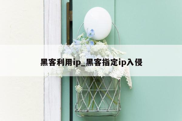 黑客利用ip_黑客指定ip入侵