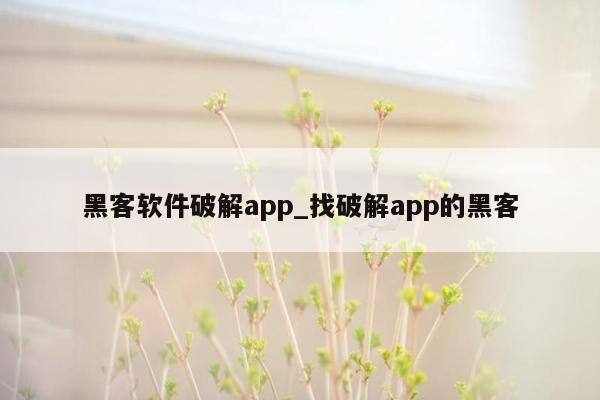 黑客软件破解app_找破解app的黑客