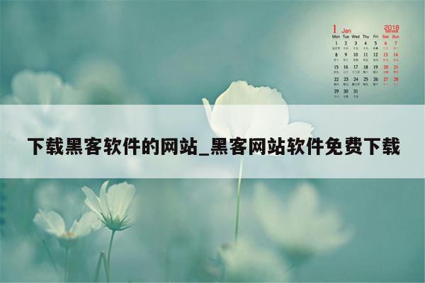 下载黑客软件的网站_黑客网站软件免费下载