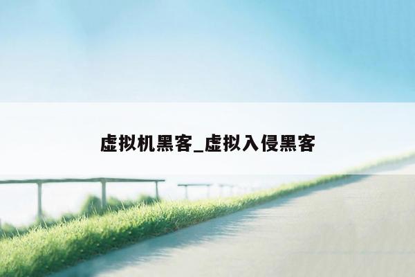 虚拟机黑客_虚拟入侵黑客