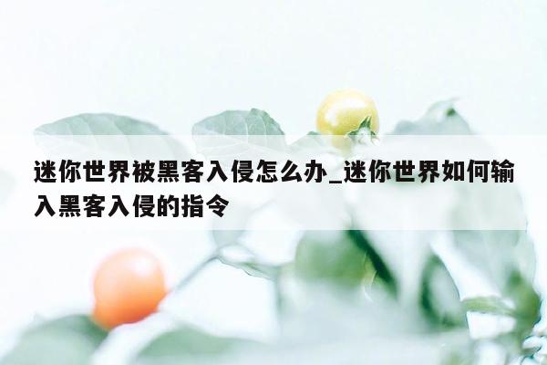 迷你世界被黑客入侵怎么办_迷你世界如何输入黑客入侵的指令