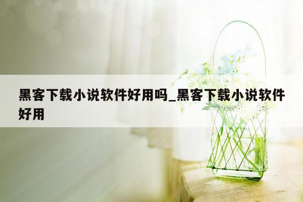 黑客下载小说软件好用吗_黑客下载小说软件好用