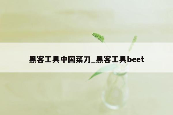 黑客工具中国菜刀_黑客工具beet