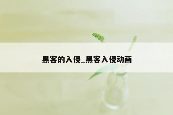 黑客的入侵_黑客入侵动画