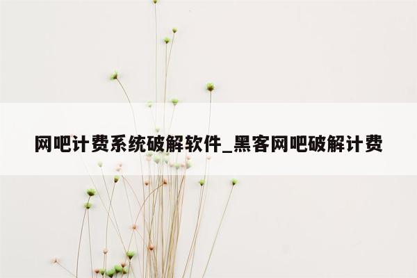 网吧计费系统破解软件_黑客网吧破解计费