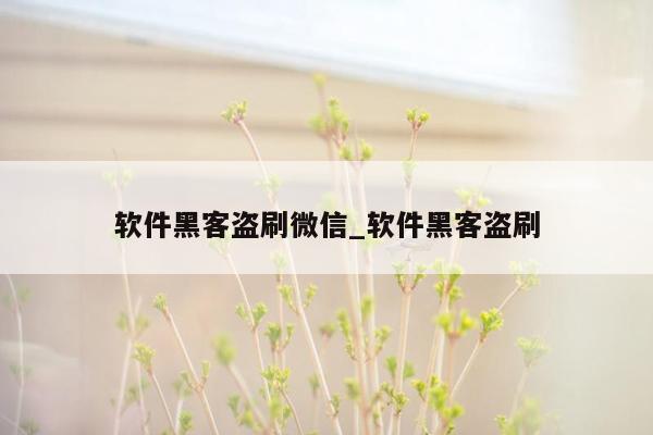 软件黑客盗刷微信_软件黑客盗刷