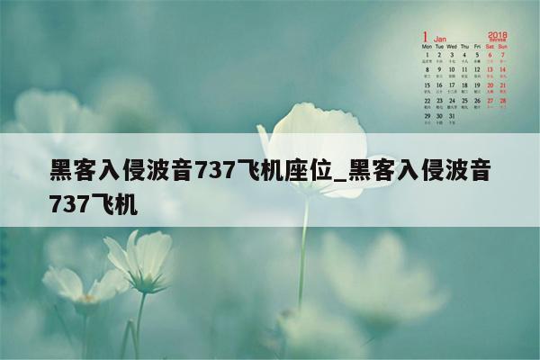 黑客入侵波音737飞机座位_黑客入侵波音737飞机