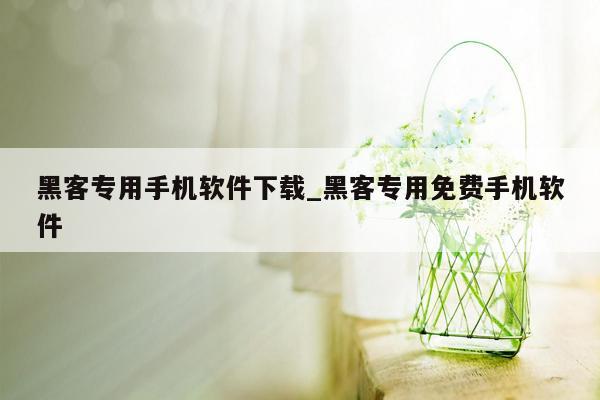 黑客专用手机软件下载_黑客专用免费手机软件