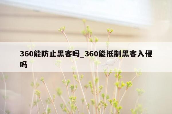 360能防止黑客吗_360能抵制黑客入侵吗