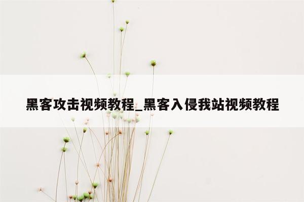 黑客攻击视频教程_黑客入侵我站视频教程