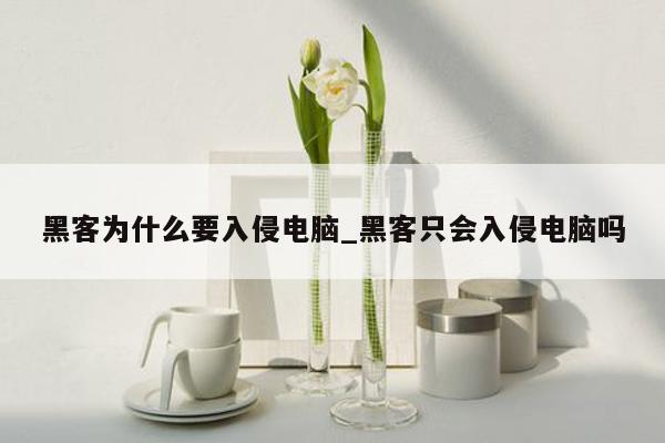 黑客为什么要入侵电脑_黑客只会入侵电脑吗