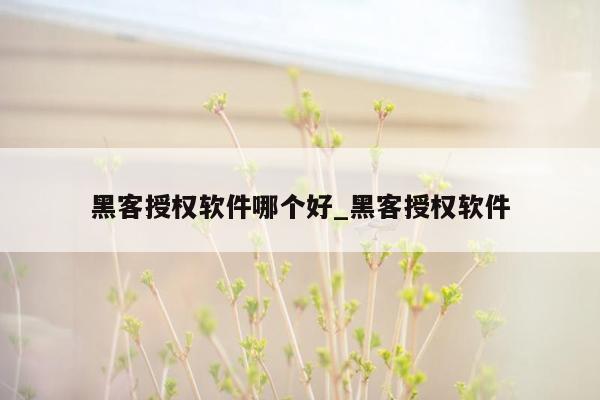 黑客授权软件哪个好_黑客授权软件