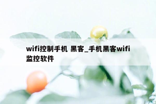 wifi控制手机 黑客_手机黑客wifi监控软件