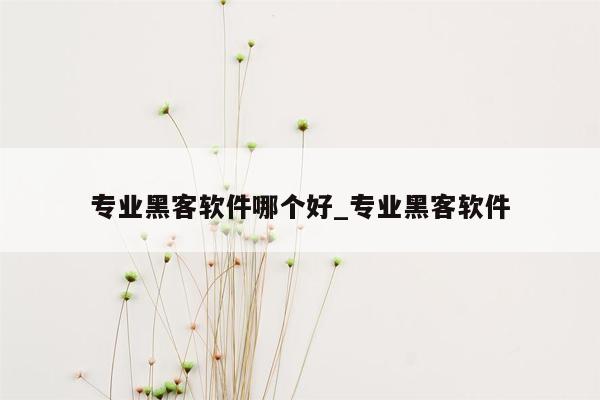 专业黑客软件哪个好_专业黑客软件