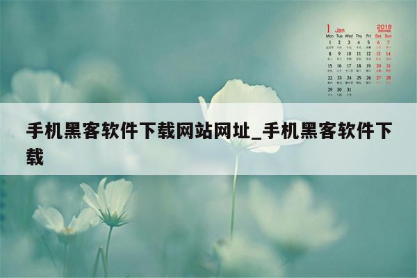 手机黑客软件下载网站网址_手机黑客软件下载