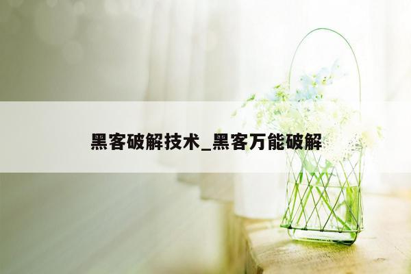 黑客破解技术_黑客万能破解